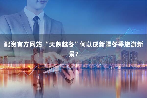 配资官方网站 “天鹅越冬”何以成新疆冬季旅游新景？