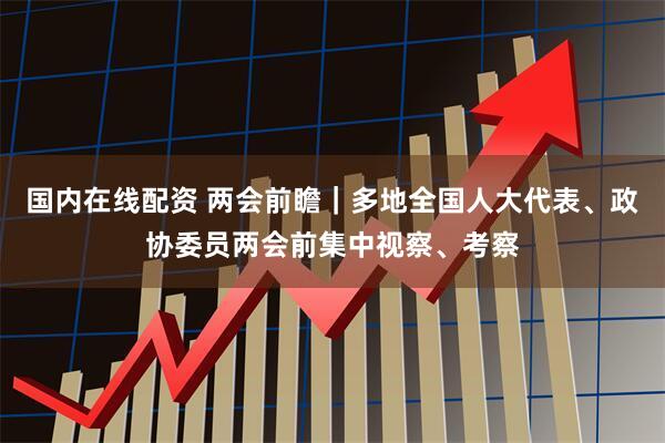 国内在线配资 两会前瞻｜多地全国人大代表、政协委员两会前集中视察、考察