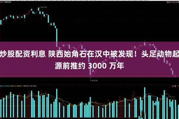 炒股配资利息 陕西始角石在汉中被发现！头足动物起源前推约 3000 万年