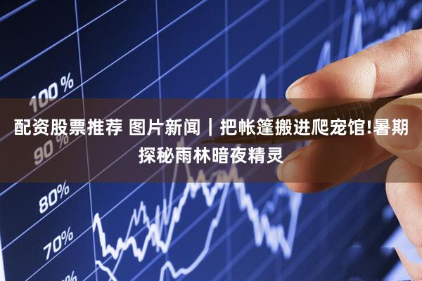 配资股票推荐 图片新闻｜把帐篷搬进爬宠馆!暑期探秘雨林暗夜精灵